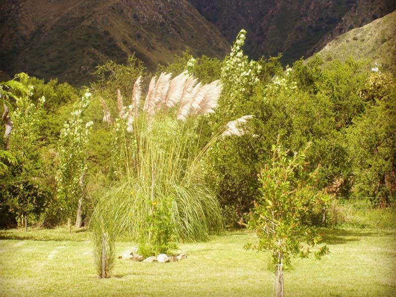 Parque y Piscina